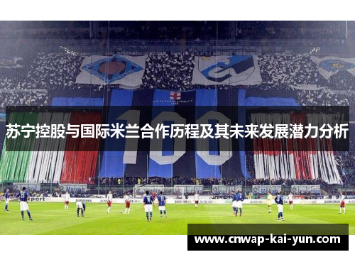 苏宁控股与国际米兰合作历程及其未来发展潜力分析 苏宁控股与国际米兰合作历程及其未来发展潜力分析