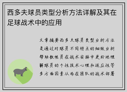 西多夫球员类型分析方法详解及其在足球战术中的应用